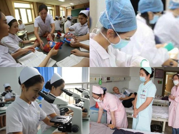 郑州医学类中专有哪些、郑州中专医学类专业学校 知识 第1张